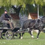Prom - ZT Książ 2007<br />&copy; Katarzyna Broda (faraa)