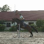 Kiara - training<br />&copy; S.Luzar<br /><i>M.Michałek</i>