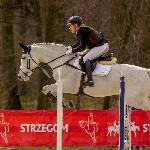 Solandria - Strzegom 2017<br />&copy; faraa (c) Mazurek-Konie