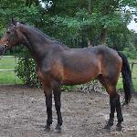 Wienna - 2023