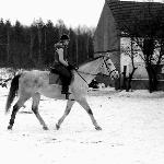 Dywizjon
