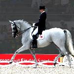 Blue Hors Matiné
