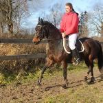 Jolie<br />&copy; Anna Surowiec<br /><i>Drewnowo dn 26.11.2011 r.</i>