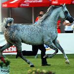 Almanzor - Almanzor 2016<br />&copy; Anna Pyzara-Nakoniechnaia