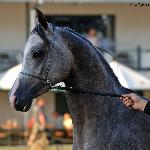 Almanzor - Almanzor 2011<br />&copy; Anna Pyzara-Nakoniechnaia