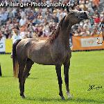 Almanzor - Almanzor 2010<br />&copy; Irina Filsinger