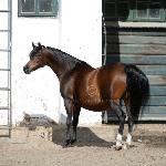Elwa<br />&copy; Stuart Vesty