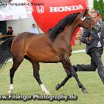 Elwa - Elwa 2012<br />&copy; Irina Filsinger
