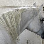 Elihara - Elihara 2018<br />&copy; Anna Pyzara-Nakoniechnaia