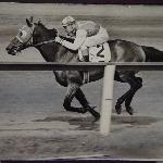 Seabiscuit