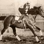 Seabiscuit - Seabiscuit z George'em Woolfem podczas treningu.<br />&copy; Fotografia znajduje się w domenie publicznej (public domain) - plik dostępny na Wikimedia Commons.Źródło:Wikimedia Commons.