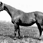 Mahubah