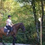 Aristo - TREC Nielepice 2013