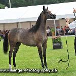 Eustachia - Eustachia 2010<br />&copy; Irina Filsinger