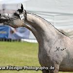 Piacenza - Piacenza 2011<br />&copy; Irina Filsinger