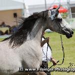 Piacenza - Piacenza 2011<br />&copy; Irina Filsinger