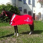 Alczento
