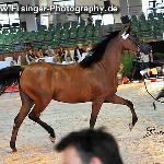 Erreuza - Erreuza 2010<br />&copy; Irina Filsinger