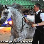 Petrara - Petrara 2010<br />&copy; Irina Filsinger