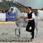 Petrara - Petrara 2010<br />&copy; Irina Filsinger