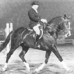 Zuidhorn / Zinaeda