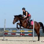 Volvo PonySport