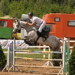 Aberant<br /><i>https://www.kjagrohandel.pl/pl/horses/horses-sold/204-aberant.html</i>