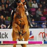 Torrero - CSI-W Warszawa 2010<br />&copy; Oliwia Chmielewska