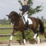Blue Hors Don Romantic ex Don Romantic