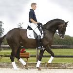 Blue Hors Don Romantic ex Don Romantic
