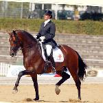 Rousseau ex Rambo (Hilltrop Rousseau, Harmony’s Rousseau)