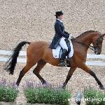 Latino - Latino & Katsiaryna Yafremava - CH-EU-D Göteborg 2017<br />&copy; equiprojekt.pl/dressage24.pl