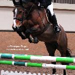 Zippo La Vie<br />&copy; Katarzyna Boryna