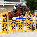 Zippo La Vie - Zippo<br />&copy; Katarzyna Boryna