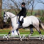 Fernhill Cool Diamond<br />&copy; Katarzyna Boryna