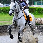 Fernhill Cool Diamond<br />&copy; Katarzyna Boryna