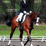 Adampol - NATALIA PRZEŹDZIĘG - Audi Centrum Wrocław Cup 2010<br />&copy; Katarzyna Boryna
