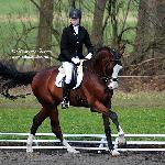 Adampol - NATALIA PRZEŹDZIĘG - Audi Centrum Wrocław Cup 2010<br />&copy; Katarzyna Boryna
