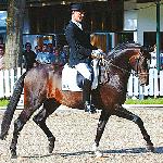 Sir Donnerhall