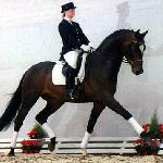 Sir Donnerhall