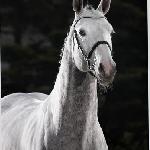 Cristallo I / Cristallo<br />&copy; pinkosia