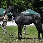 Monty - Białka 2010<br />&copy; Ewa Imielska-Hebda