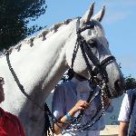 Amaretto 129