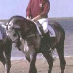 Campione (Campione Z)