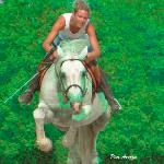 Campione (Campione Z)