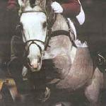 Campione (Campione Z)