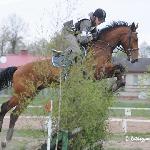 Mitschubishi J<br />&copy; Katarzyna Boryna