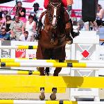 Udarco van Overis (Udarco) - CSIO Sopot 2010<br />&copy; Katarzyna Boryna
