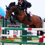 Caloma Z (Bessemeind's Caloma Z, Atlas de la Haye) - CSIO Sopot 2010<br />&copy; Katarzyna Boryna