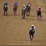 Rachel Alexandra